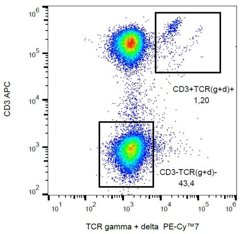 Anti-TCR gamma/delta Monoclonal Antibody (Clone:B1)- PE-Cy7 Conjugated